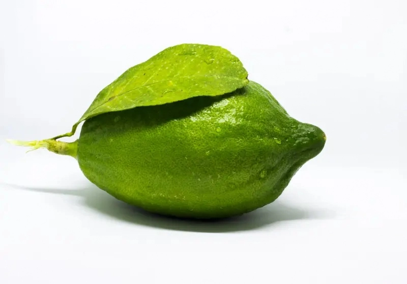 Gondhoraj Lemon
